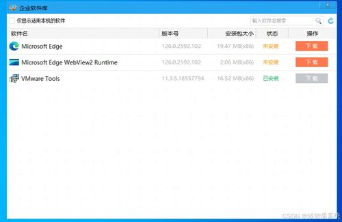 2024年网络安全公司TOP10榜单揭晓 聚焦网络与信息安全软件开发领军者