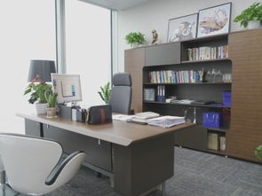 重庆渝中软件开发公司 打造专业的APP定制开发与网站建设推广服务